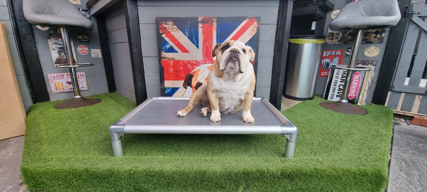 Strong and Durable Cofa Bed for dogs
